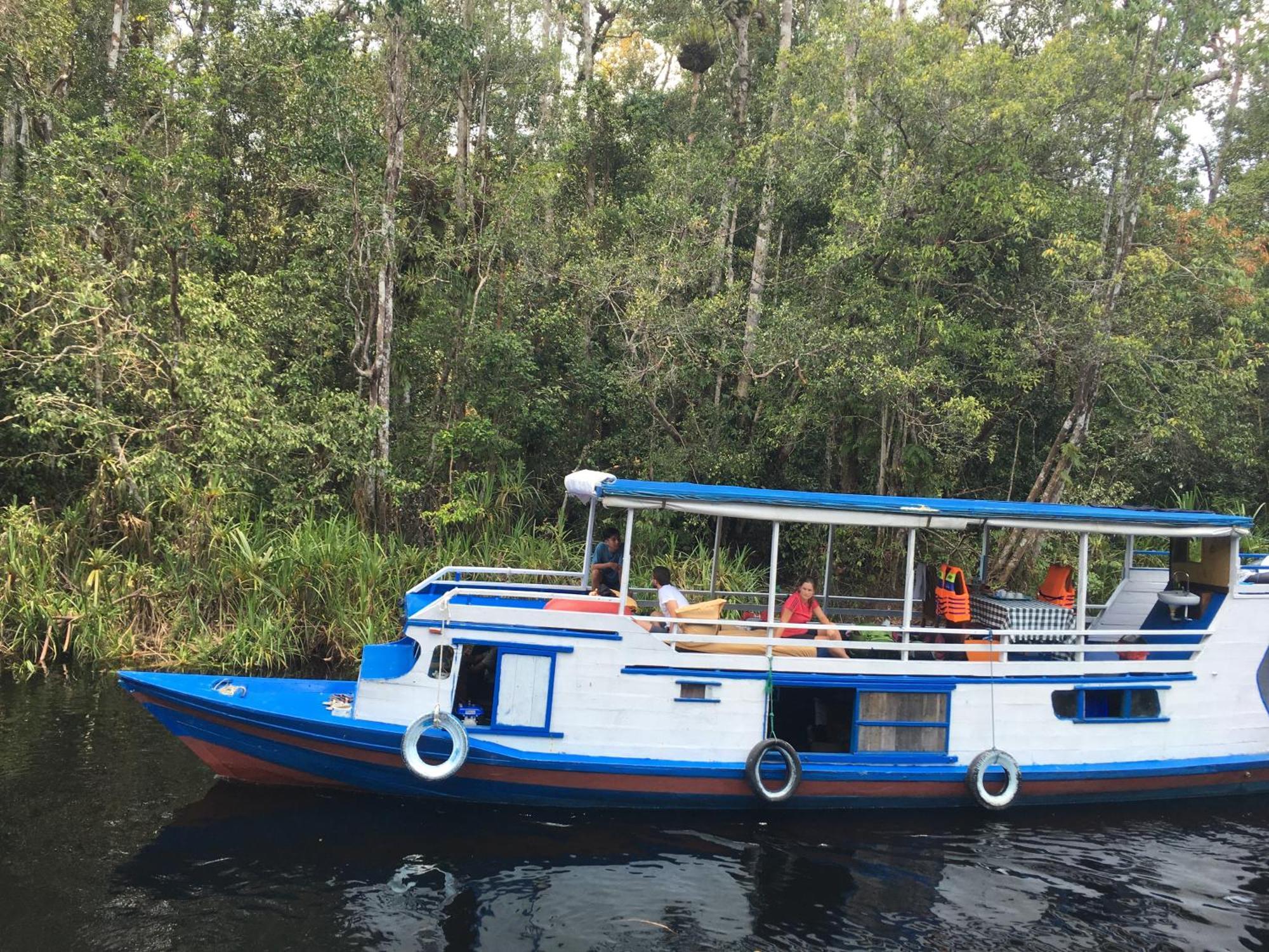 Orangutan Shaka Houseboat With Cabin Pangkalanbuun Exteriér fotografie