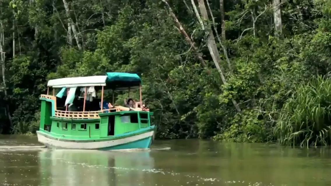 Orangutan Shaka Houseboat With Cabin Pangkalanbuun Exteriér fotografie