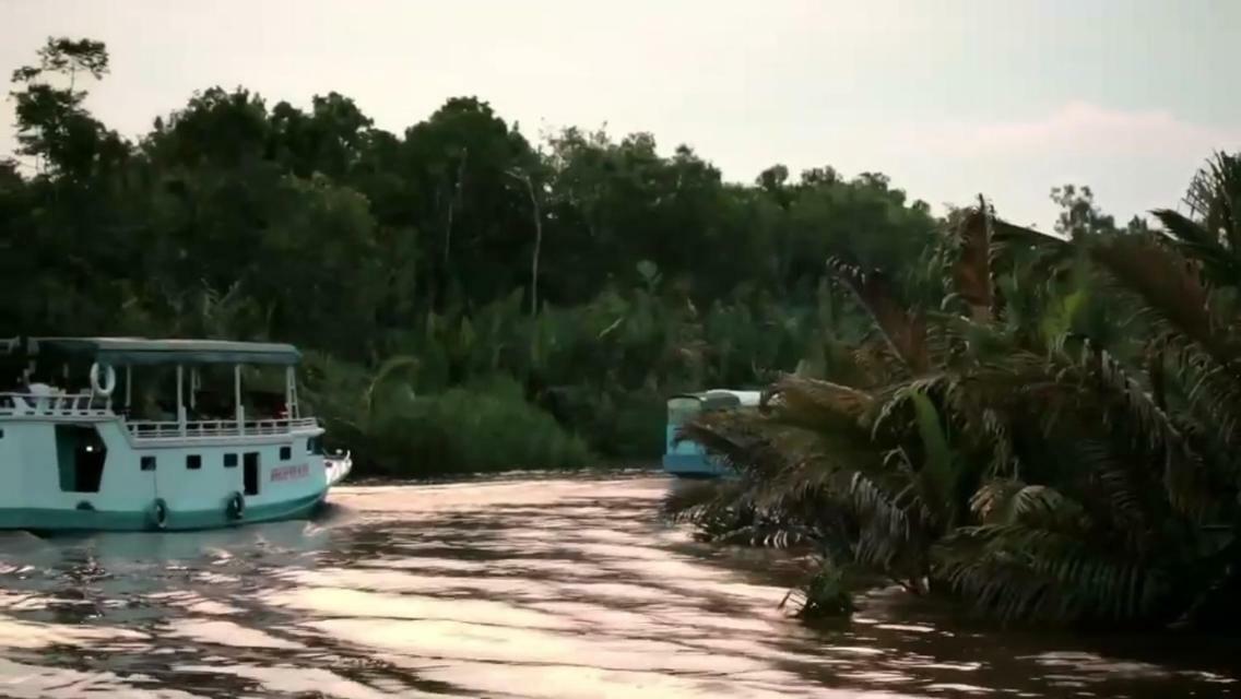 Orangutan Shaka Houseboat With Cabin Pangkalanbuun Exteriér fotografie